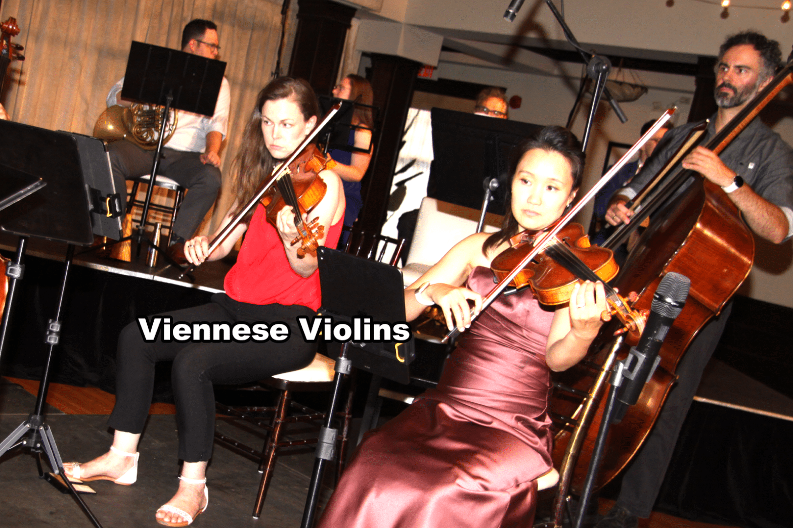 Viennese Violins
