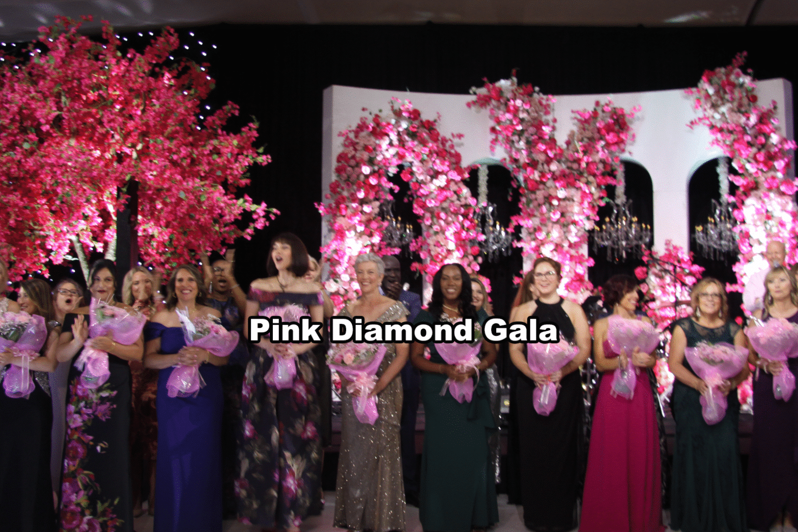 Pink Diamond Gala photos